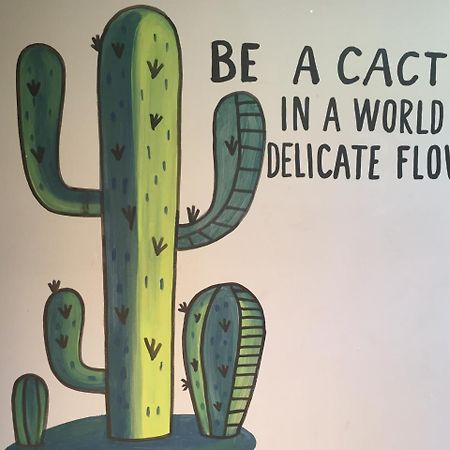 Bajas Cactus Hostel 卡波圣卢卡斯 外观 照片