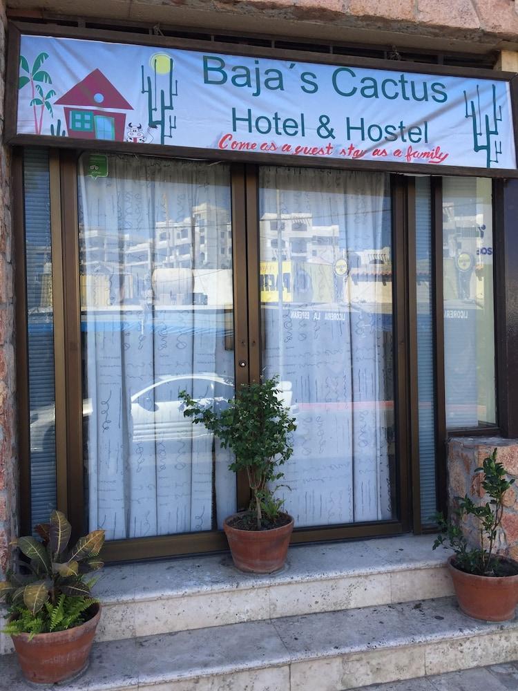 Bajas Cactus Hostel 卡波圣卢卡斯 外观 照片