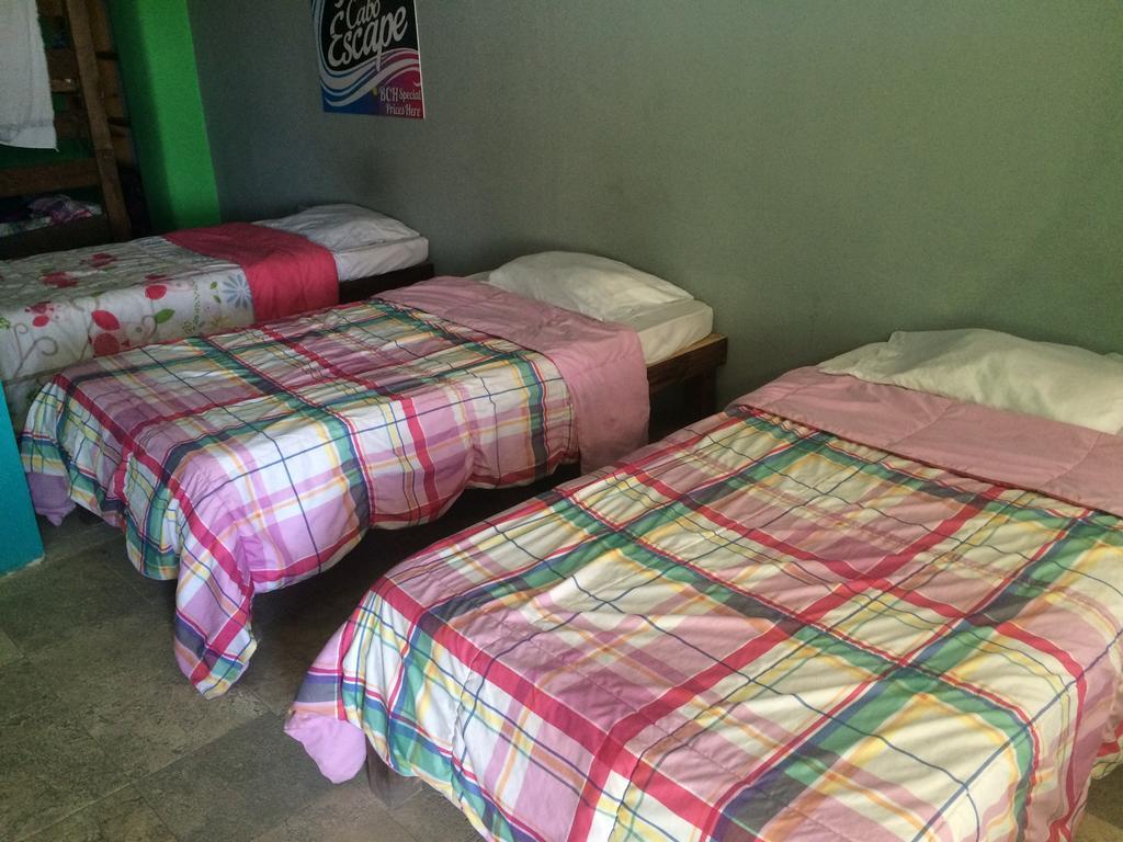 Bajas Cactus Hostel 卡波圣卢卡斯 客房 照片