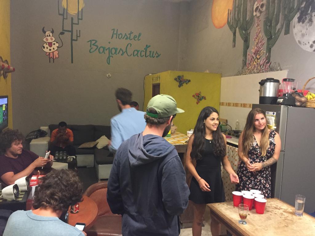 Bajas Cactus Hostel 卡波圣卢卡斯 外观 照片