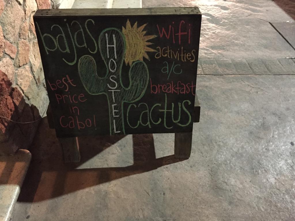 Bajas Cactus Hostel 卡波圣卢卡斯 外观 照片