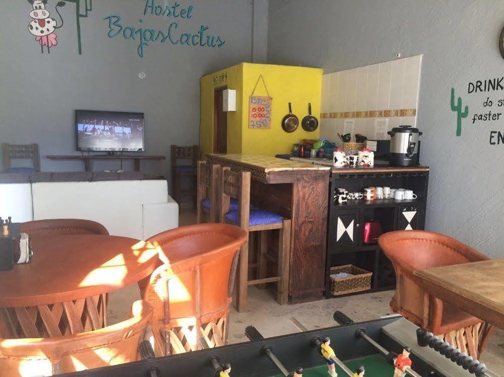 Bajas Cactus Hostel 卡波圣卢卡斯 外观 照片