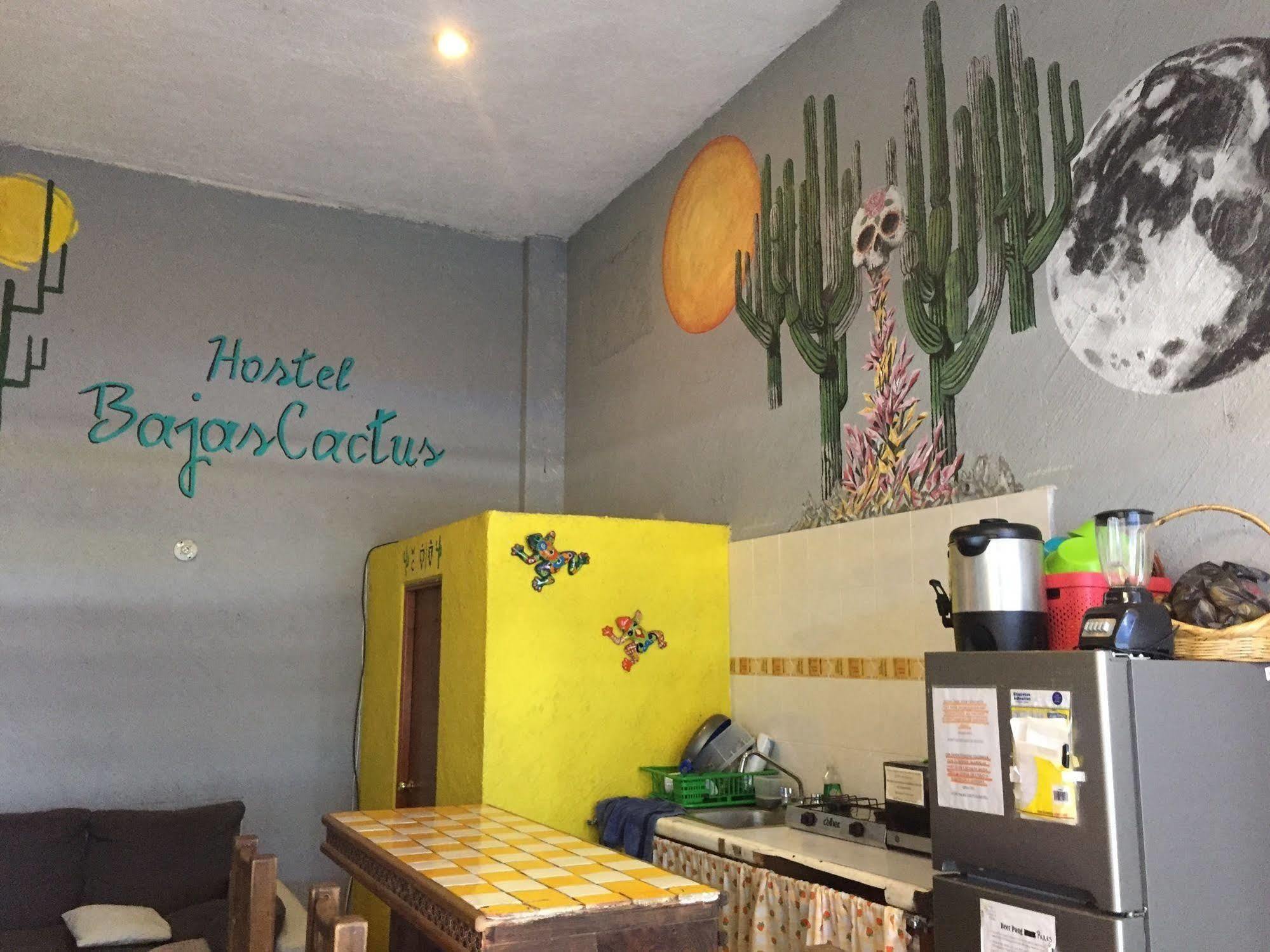 Bajas Cactus Hostel 卡波圣卢卡斯 外观 照片