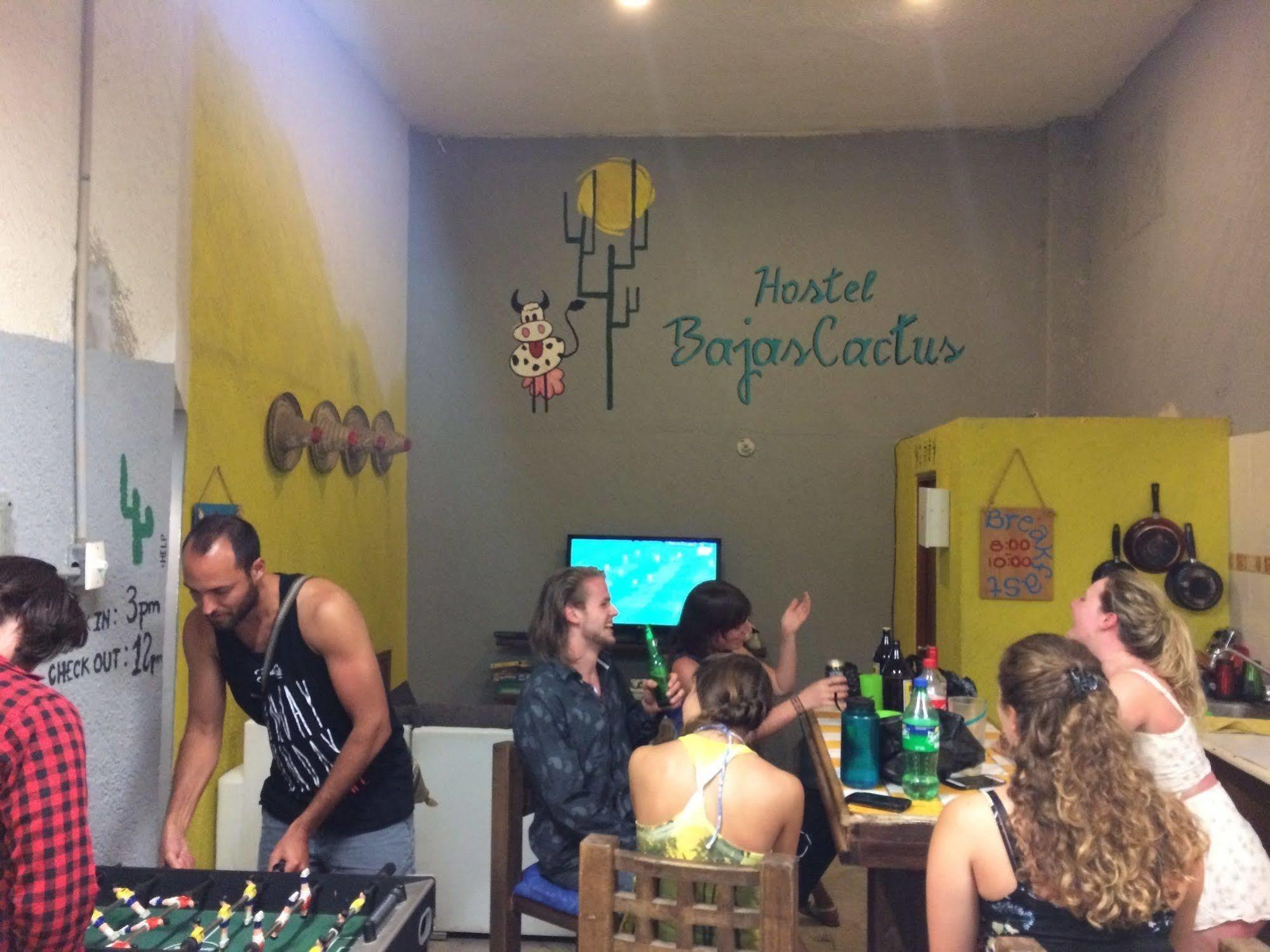 Bajas Cactus Hostel 卡波圣卢卡斯 外观 照片