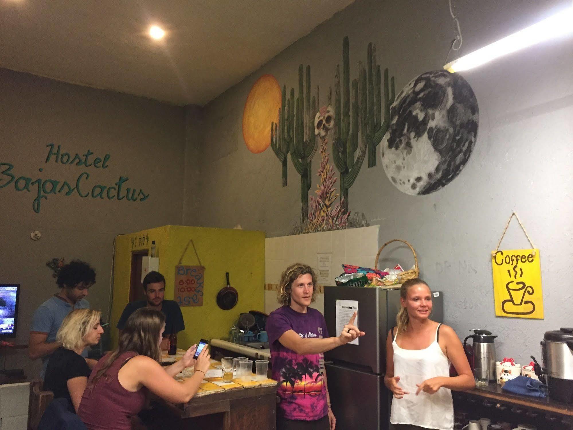 Bajas Cactus Hostel 卡波圣卢卡斯 外观 照片