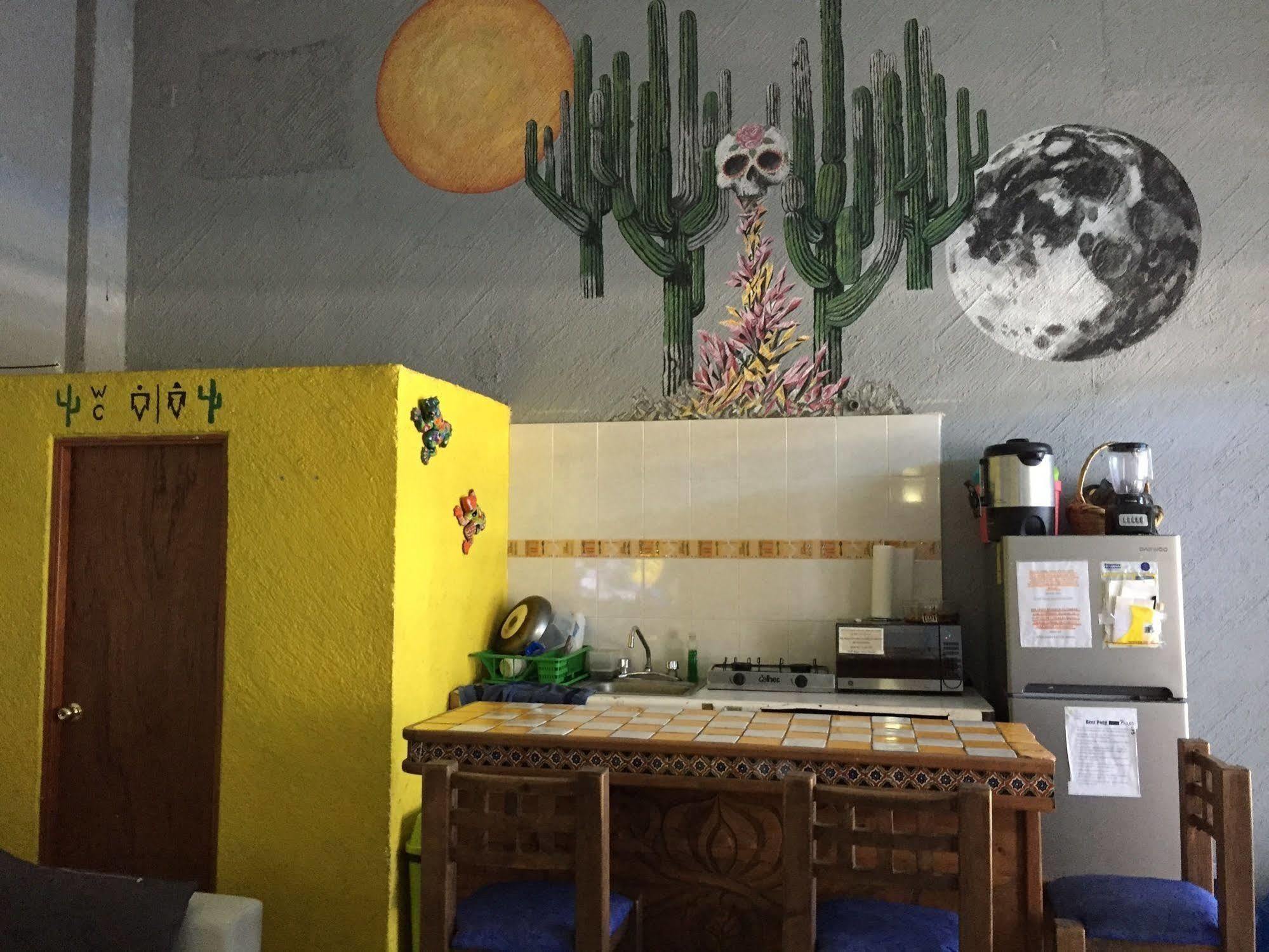 Bajas Cactus Hostel 卡波圣卢卡斯 外观 照片