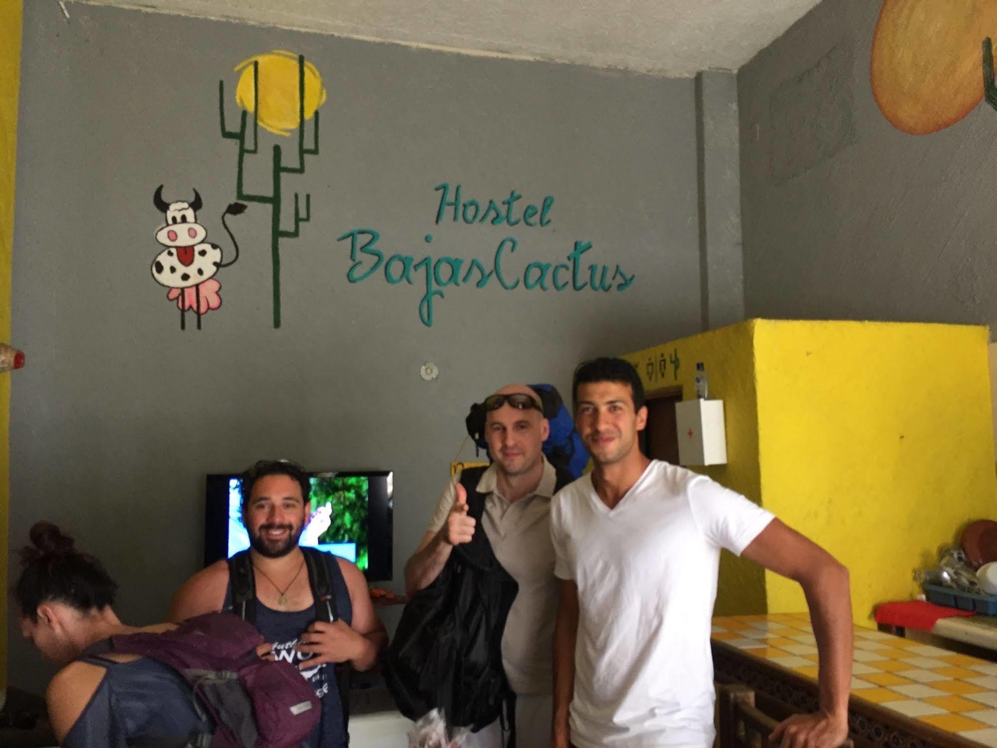 Bajas Cactus Hostel 卡波圣卢卡斯 外观 照片