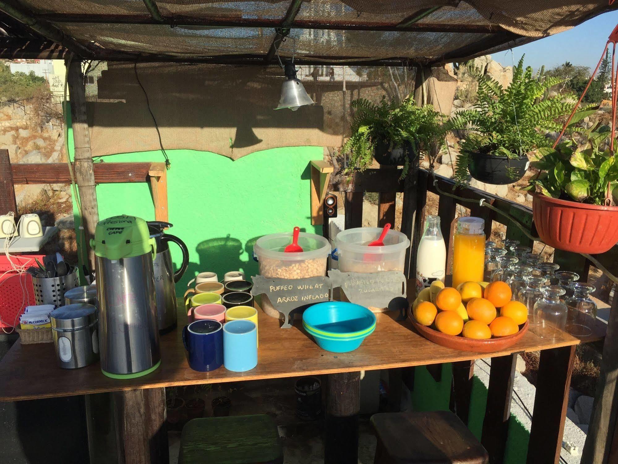 Bajas Cactus Hostel 卡波圣卢卡斯 外观 照片