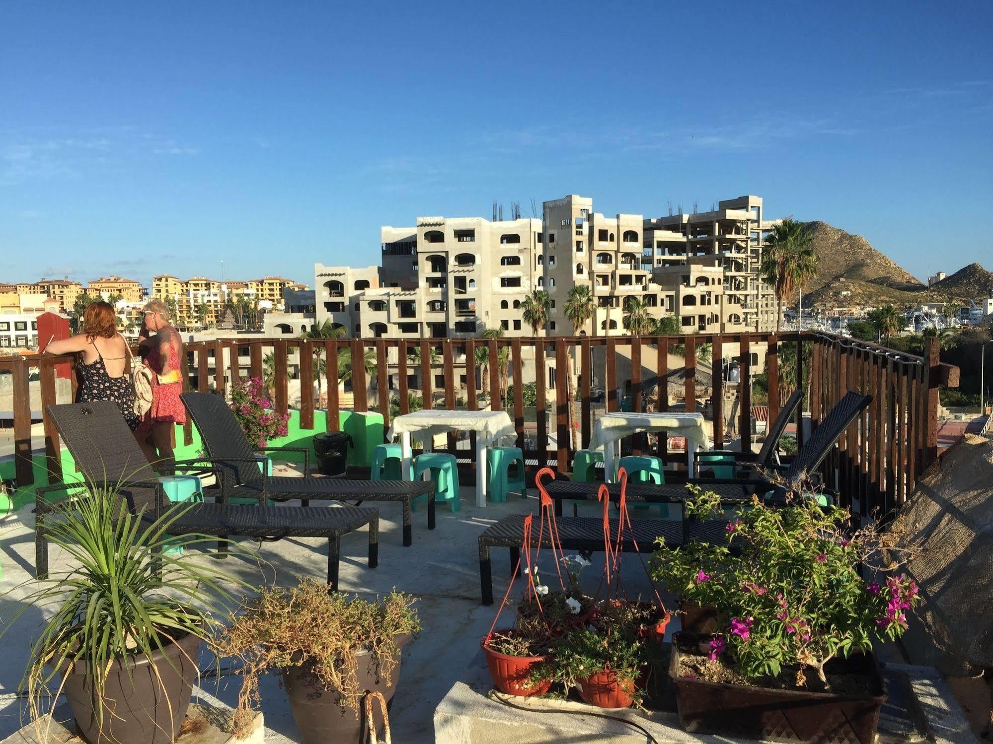 Bajas Cactus Hostel 卡波圣卢卡斯 外观 照片