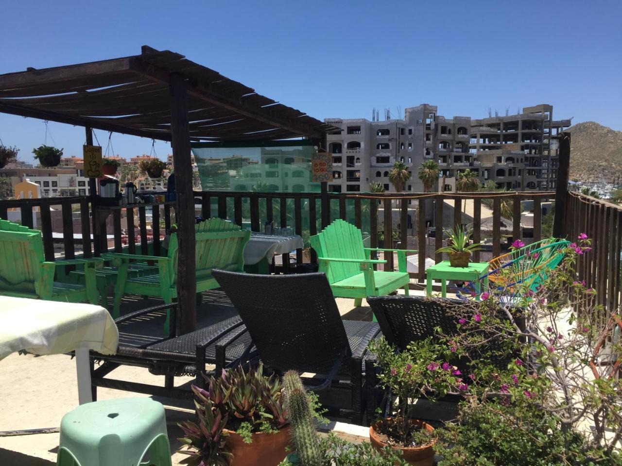 Bajas Cactus Hostel 卡波圣卢卡斯 外观 照片