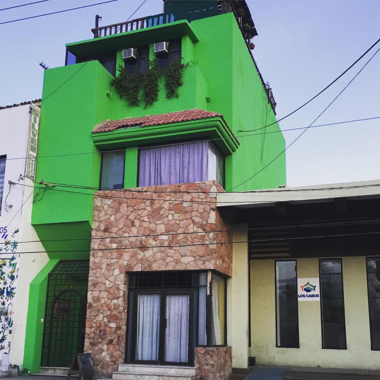 Bajas Cactus Hostel 卡波圣卢卡斯 外观 照片