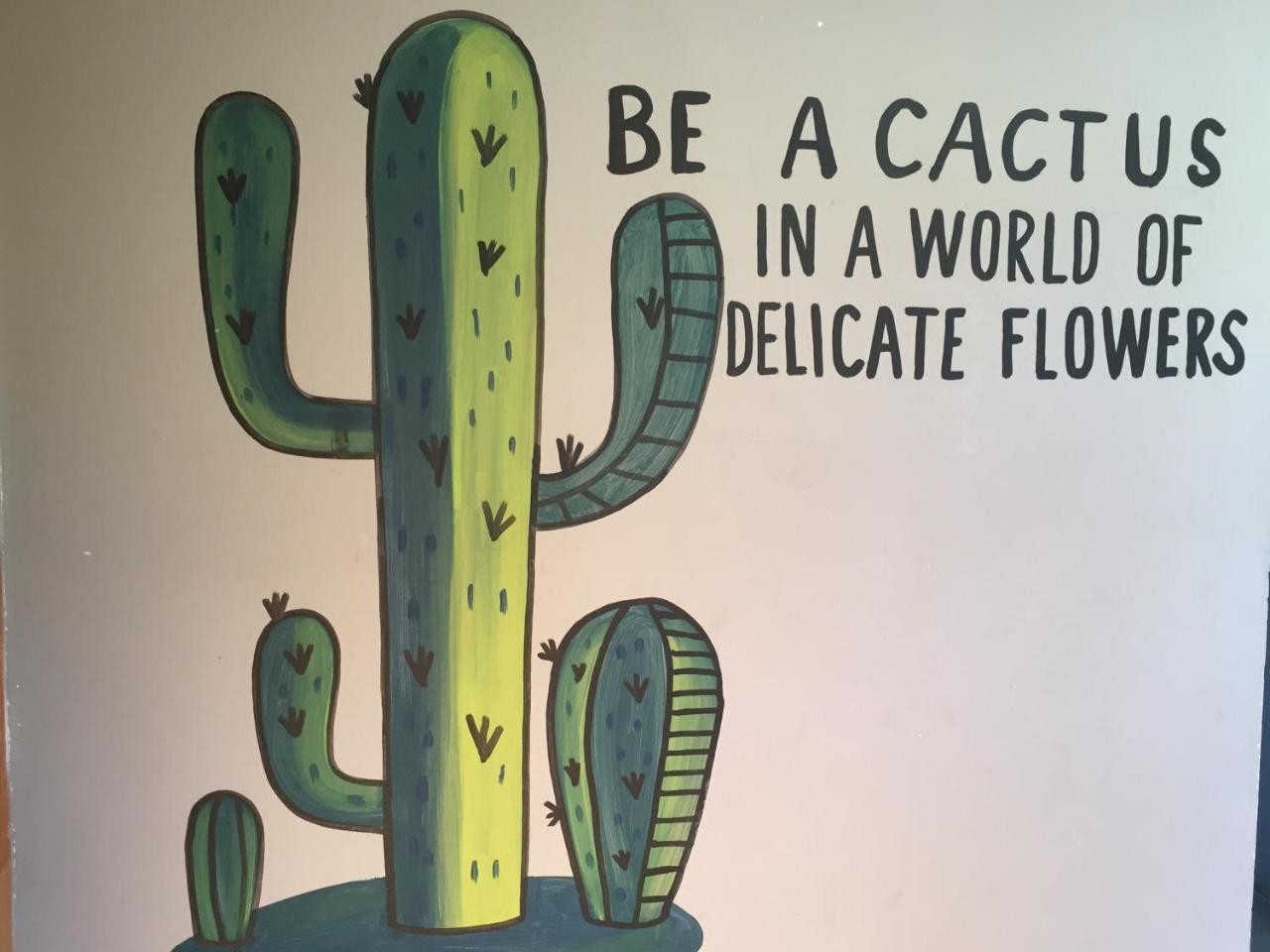 Bajas Cactus Hostel 卡波圣卢卡斯 外观 照片