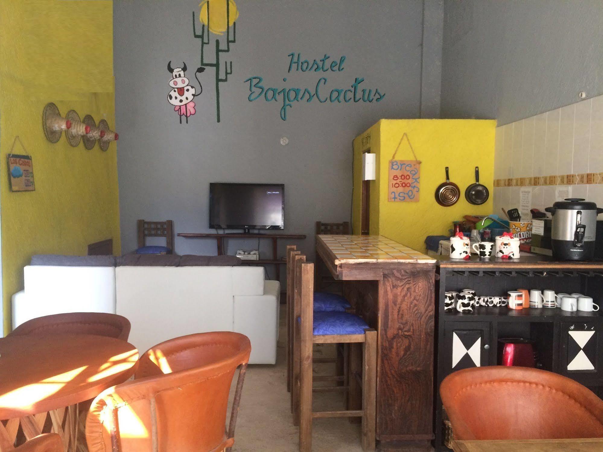 Bajas Cactus Hostel 卡波圣卢卡斯 外观 照片