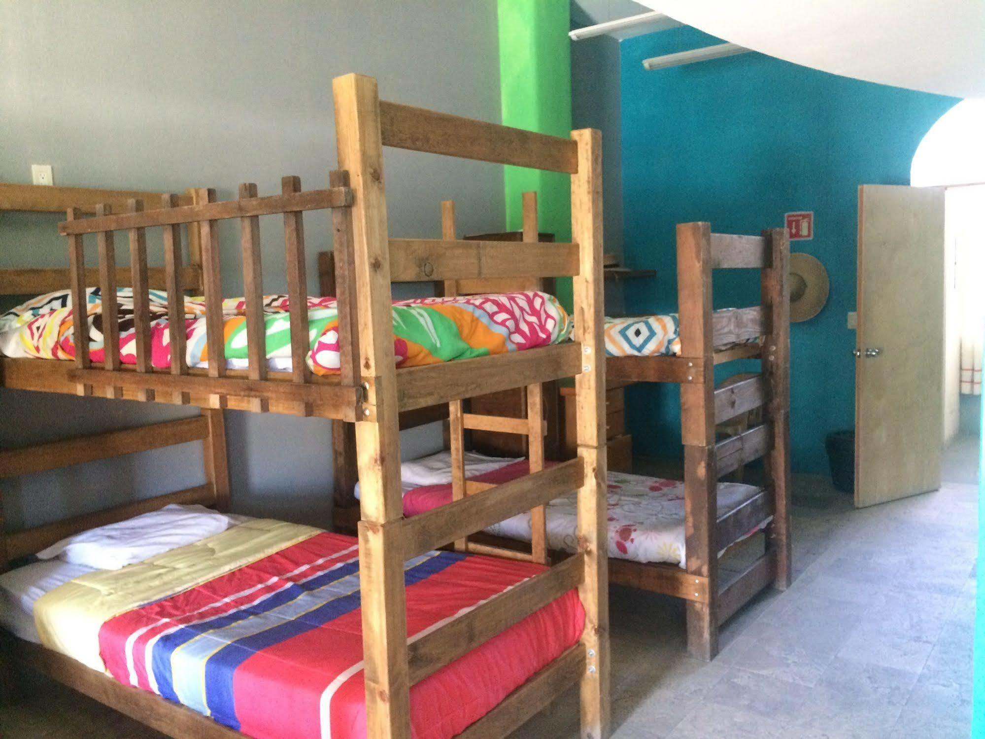 Bajas Cactus Hostel 卡波圣卢卡斯 外观 照片