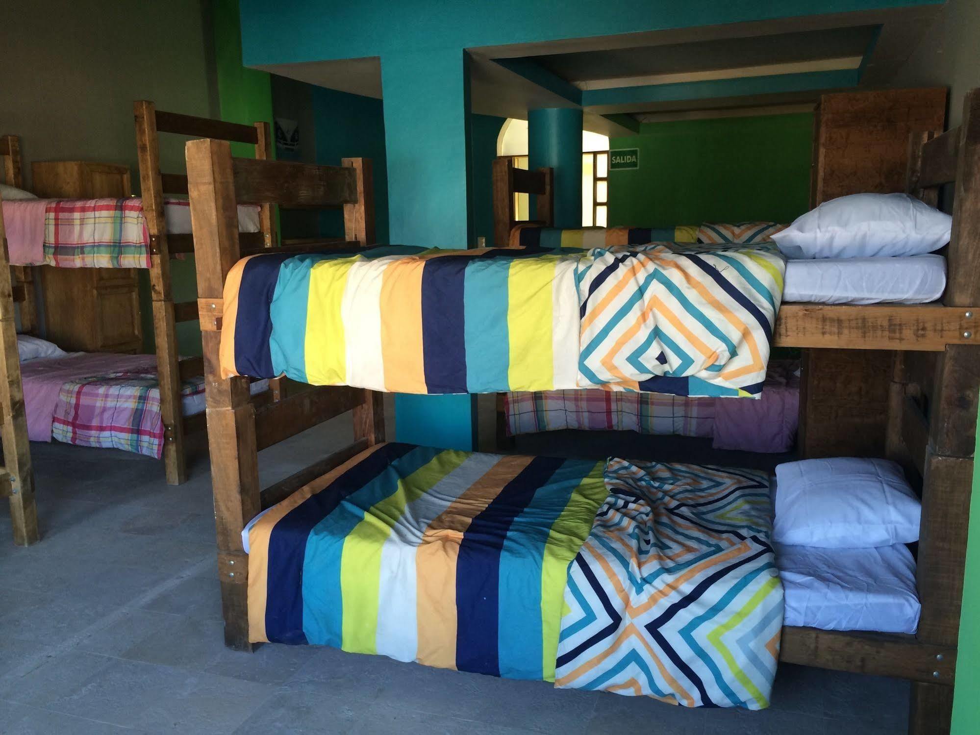 Bajas Cactus Hostel 卡波圣卢卡斯 外观 照片