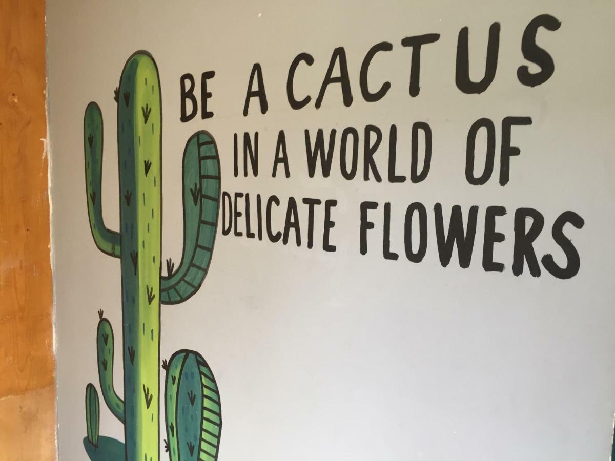 Bajas Cactus Hostel 卡波圣卢卡斯 外观 照片